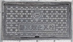 �������ʐ���